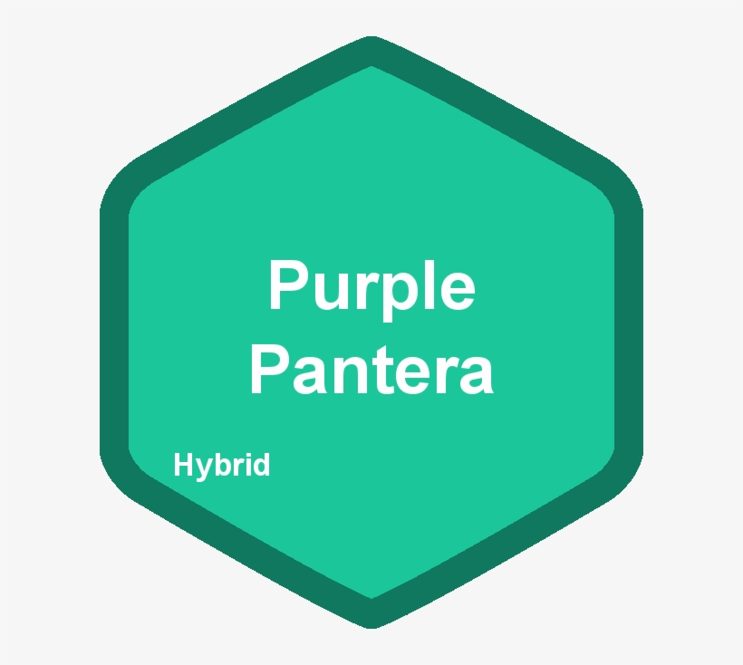 Website, transparent png download