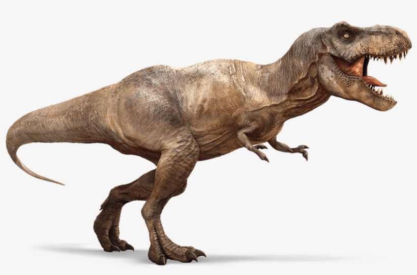 T-rex 2 - Tyrannosaurus Rex, transparent png download