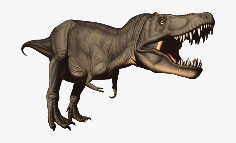 Dinosaure Clipart T Rex, transparent png download