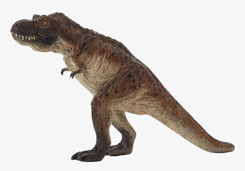 Tyrannosaurus, transparent png download