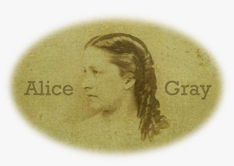 Alice Gray - House Fly, transparent png download