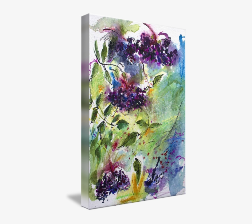 "elderberries Holunder Beeren Wild Fruit" By Ginette - Watercolor Paint, transparent png download
