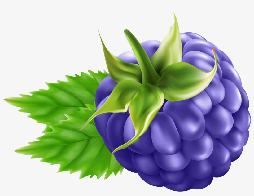 Blackberry Vector Clipart - Personalisierte Himbeerfrucht Keramik Ornament, transparent png download