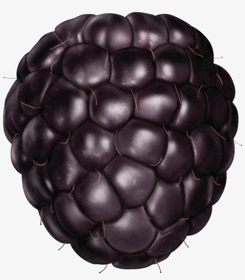 Clip Art Of Blackberry Mascot K11445727 - Blackberry Png, transparent png download
