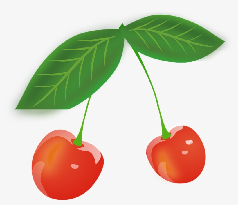Berry Clipart Free Vector Download For - Cherry Leaves Clipart, transparent png download
