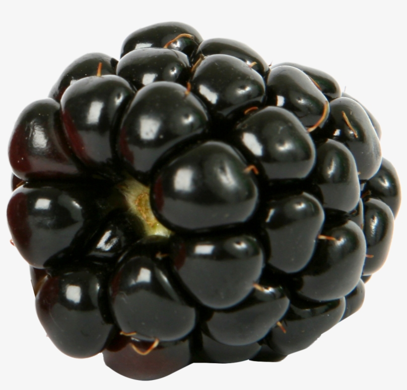 Blackberry Png - Qi - Organic White & Fruity Tea | 25 Bag, transparent png download