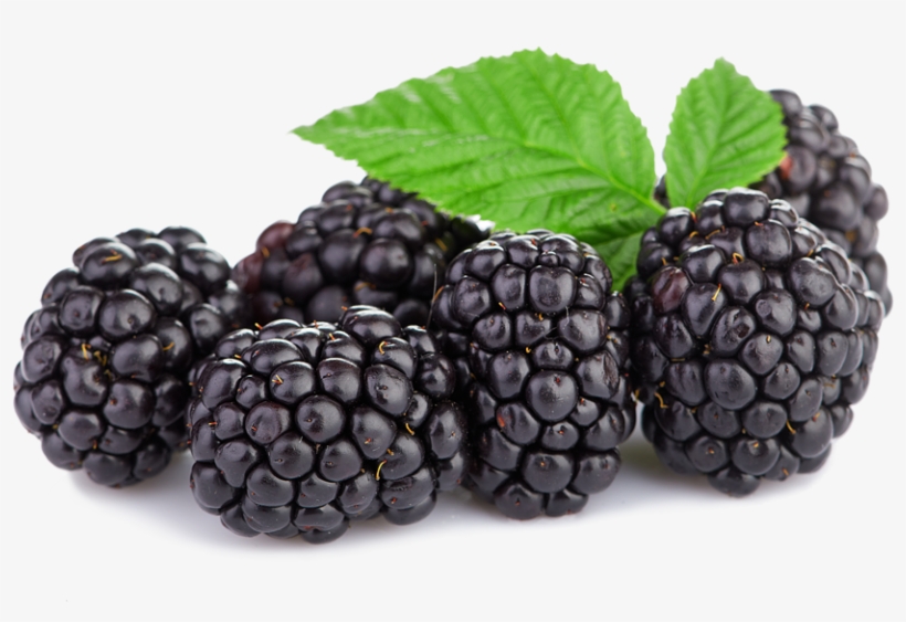 Triple Crown Blackberries - Boysenberry, transparent png download
