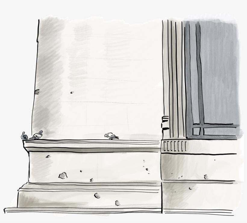 Pigeons At The Natural History Museum - Museum, transparent png download