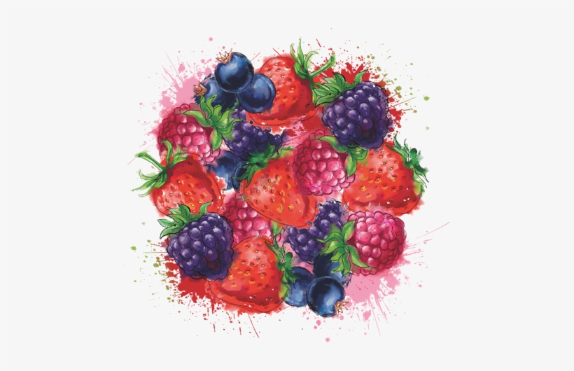 Echo Falls Vodka Summer Berries, transparent png download