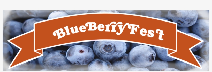 Murray Farm Fest Blue Berry Fest Ribbon - Festival, transparent png download