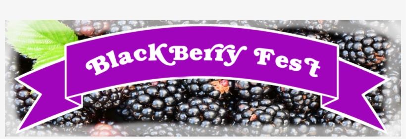 Murray Farm Fest Black Berry Fest Ribbon - Pearl, transparent png download