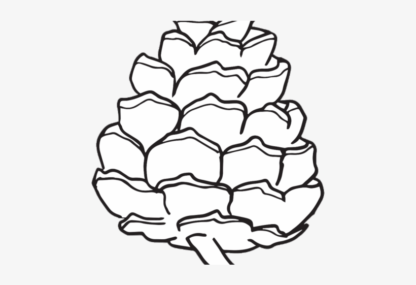 Pinecone Clipart - Conifer Cone, transparent png download