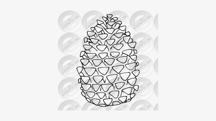 Pinecone Outline For Classroom Therapy Use Great Pinecone - Conifer Cone, transparent png download