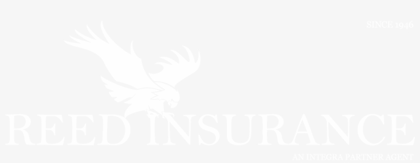 New Logo Reed Insurance White - Soulstar Tshirt Con Stampa Burgunder, Taglia: Large,, transparent png download