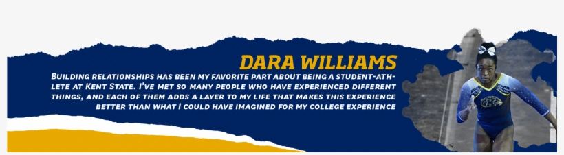 Promo Rotator - Gym - Gym, transparent png download