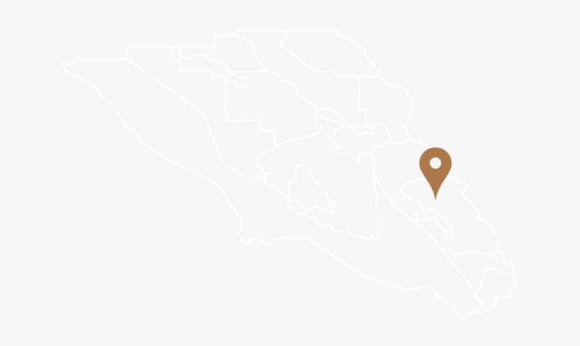 Kenwood Estate Vineyard - Illustration, transparent png download