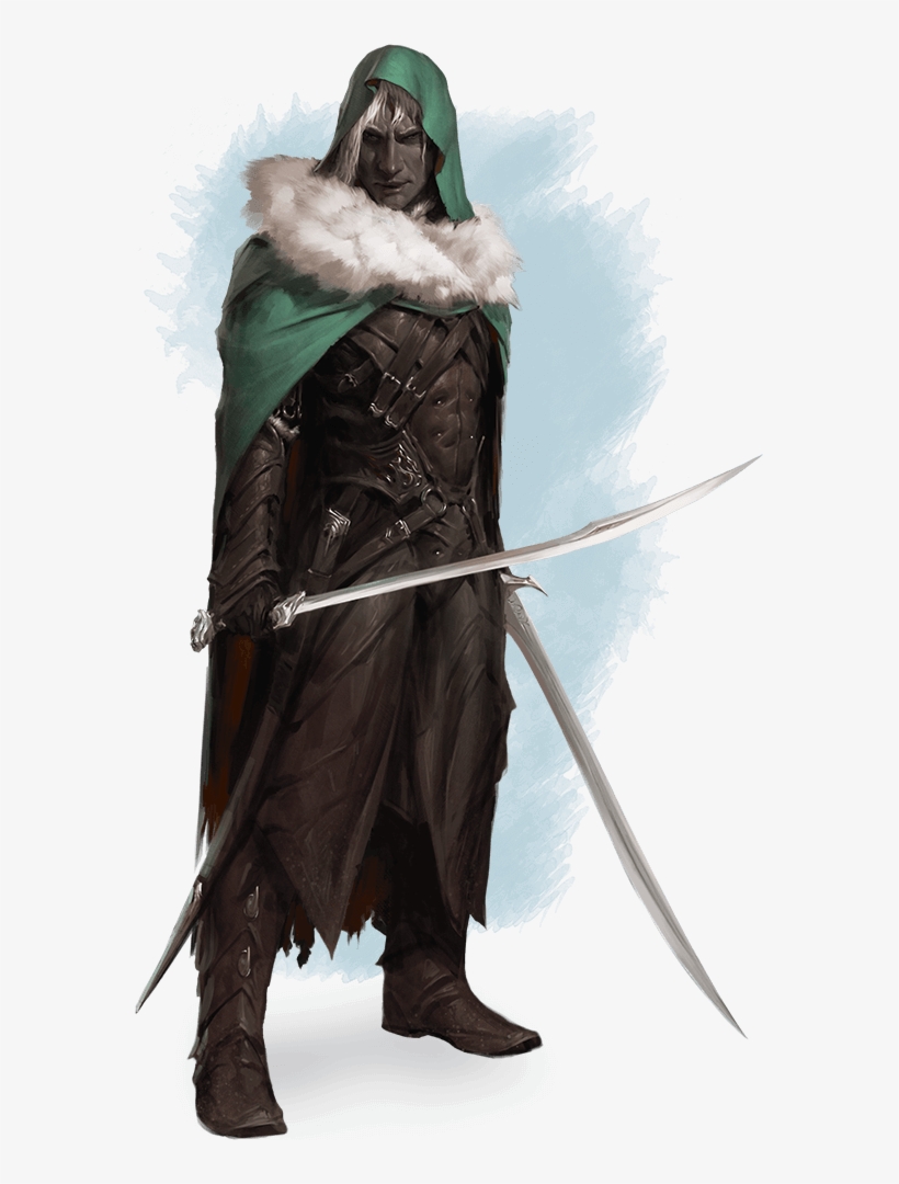 “i Have Never Imagined Such Beauty Existed,” Goldmoon - Drow Drizzt, transparent png download