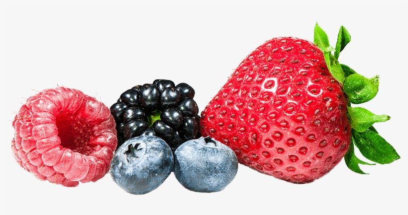 It's No Secret That Over The Years Berries Have Experienced - Tampa International Airport, transparent png download