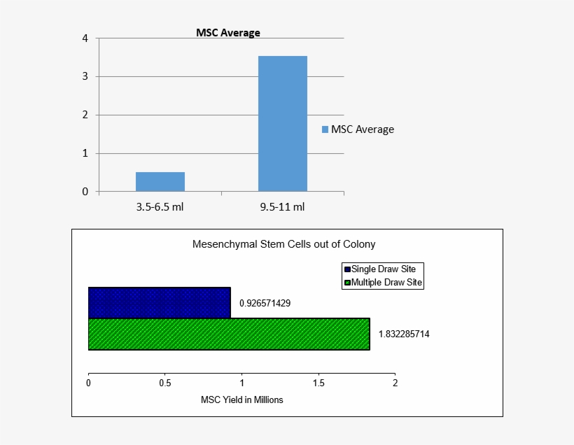 Stem Cell Yield By Bone Marrow Volume - Bone Marrow, transparent png download