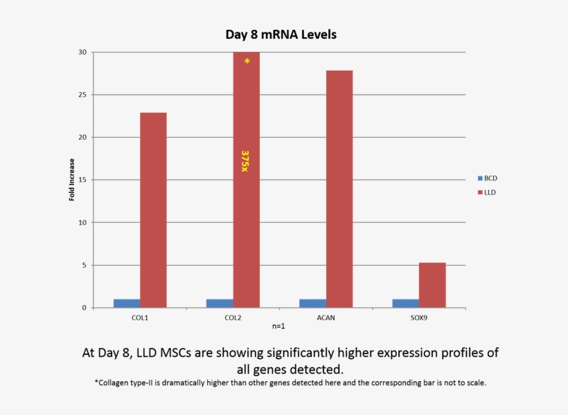 In Addition, Other Studies Performed In Our Lab Found - Messenger Rna, transparent png download