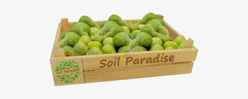 Fig - Common Fig, transparent png download