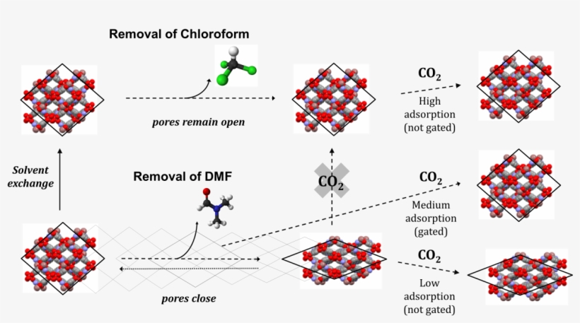 Overview Of The Solvent Dependent Continuous Breathing - Botequim, transparent png download