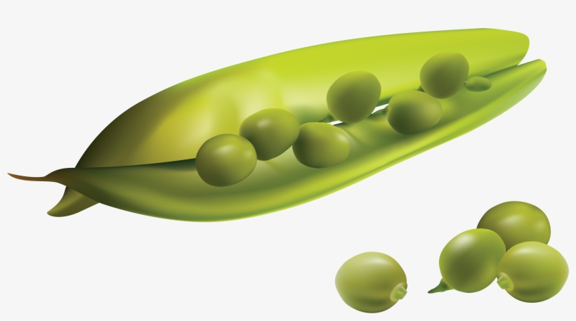 Fruits And Vegetables 5'x7'area Rug, transparent png download