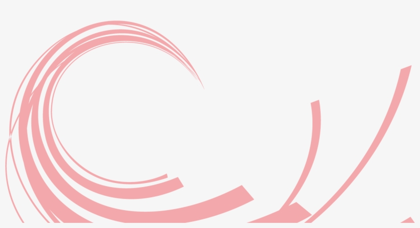 Il Primo Negozio The North Face Monomarca In Europa - Circle, transparent png download