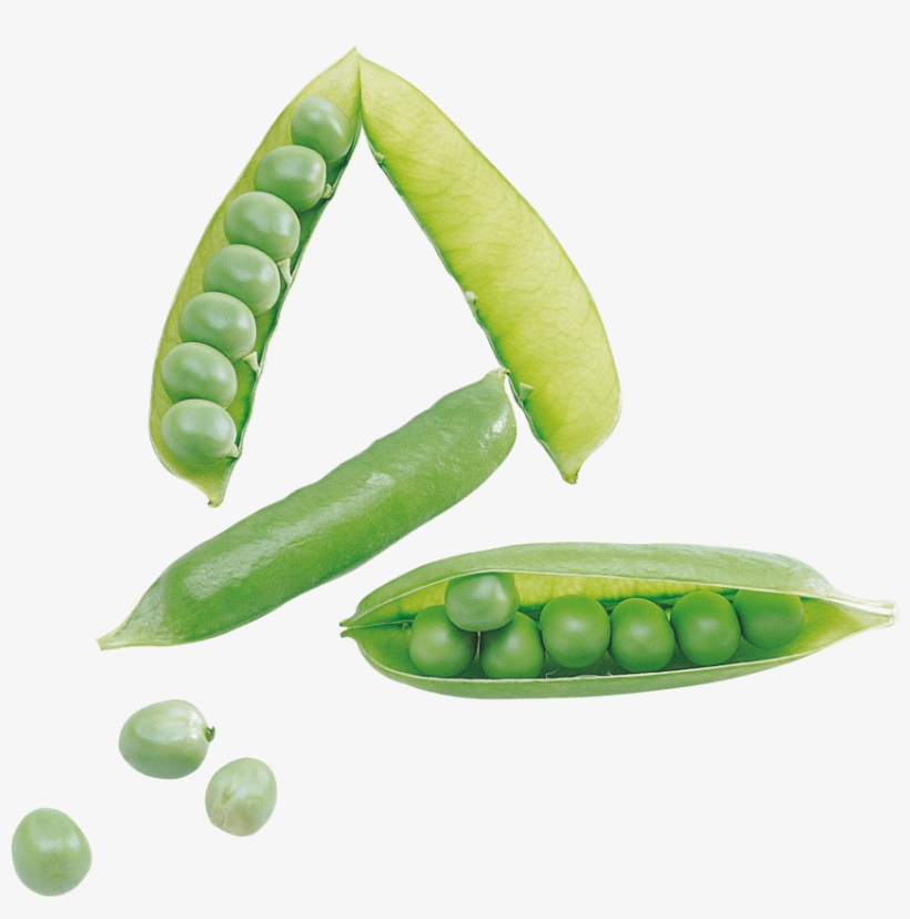 Free Png Pea Png Images Transparent - Pigeon Pea With Transparent Background, transparent png download