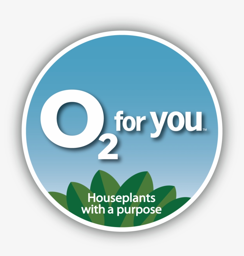 O2 4 U Logo Final Rgb With Shadow Transparent - Houseplant, transparent png download