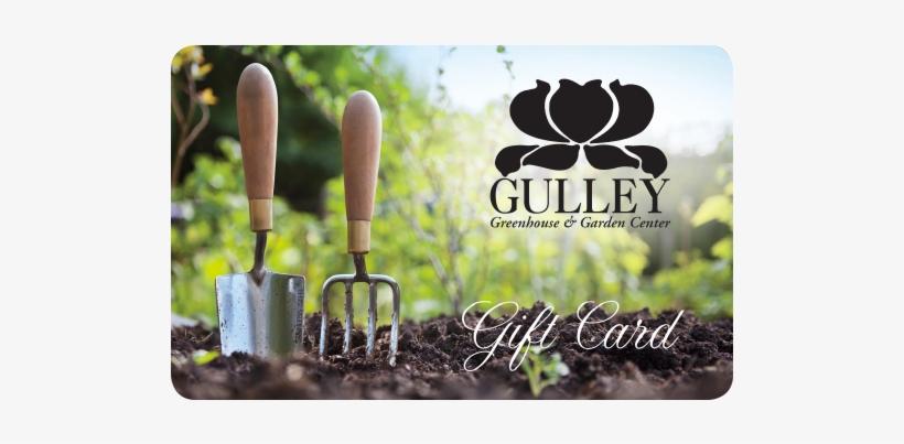 Gift Card - Straw Bale Gardening: Successful Gardening Without, transparent png download