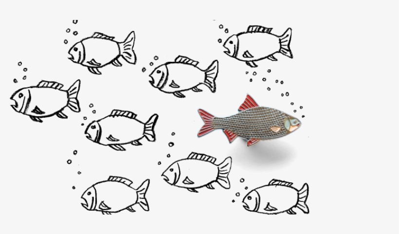 Vc Opportunities - Coral Reef Fish, transparent png download