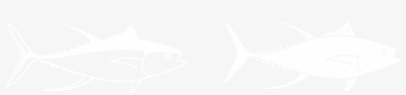 Great Barrier Reef Tuna, transparent png download