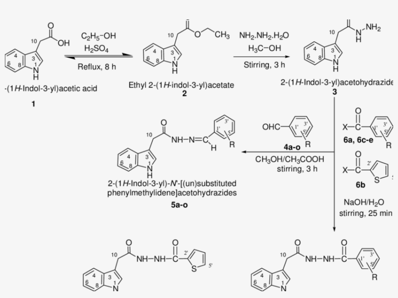 Outline For The Synthesis Of 2 - Benzoyl Group, transparent png download