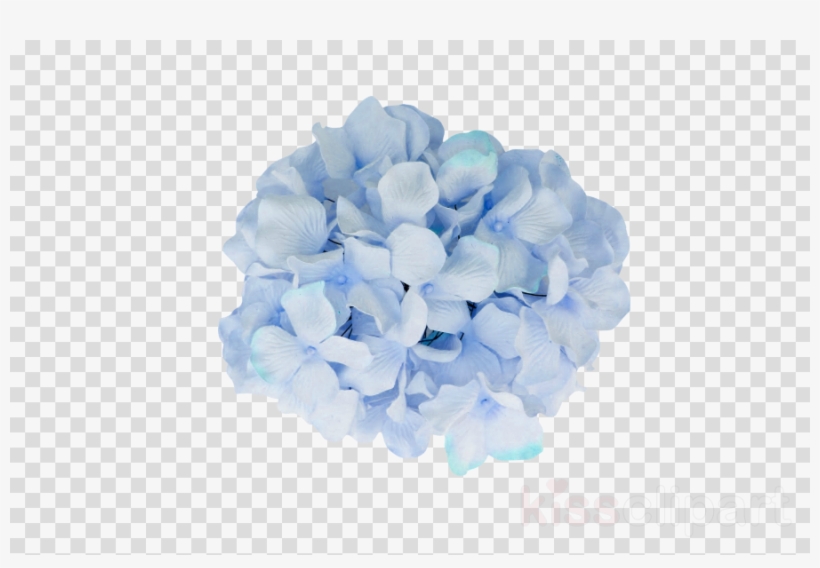 Download Transparent Hydrangea Flower Png Clipart French - Love Cartoon Transparent Background, transparent png download