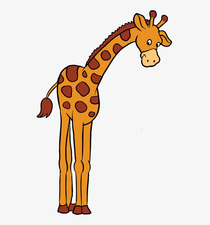 Irafa Zvierat Sveta Pinterest Clip Art - Žirafa Clipart, transparent png download