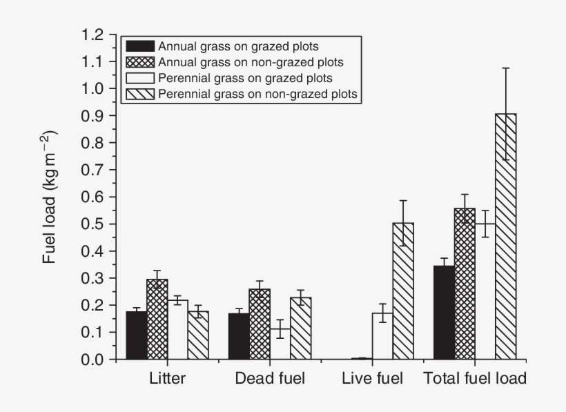 Download - Metropolitan Area, transparent png download