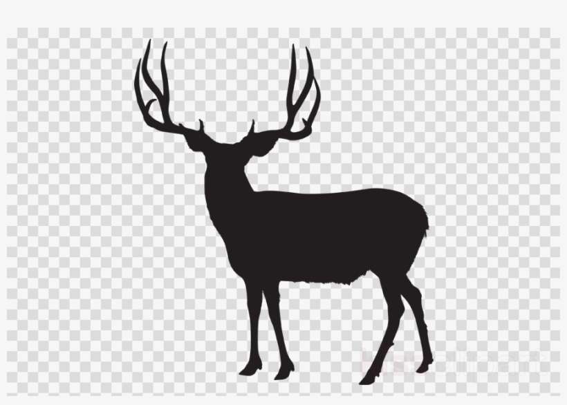 Download Mule Deer Silhouette Clipart White-tailed - Numero 8 Transparente, transparent png download
