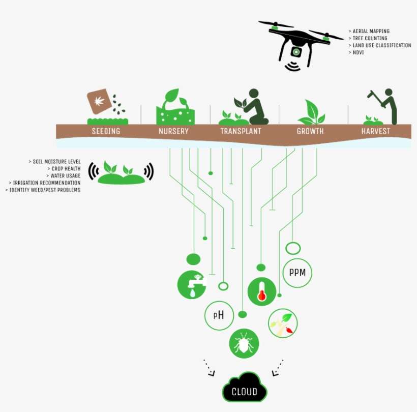 Whether You Are Planning A New Estate Or Running A - Graphic Design, transparent png download