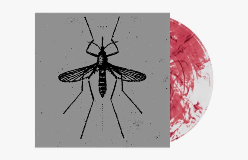 Isis - Mosquito Control - Isis The Mosquito Control, transparent png download