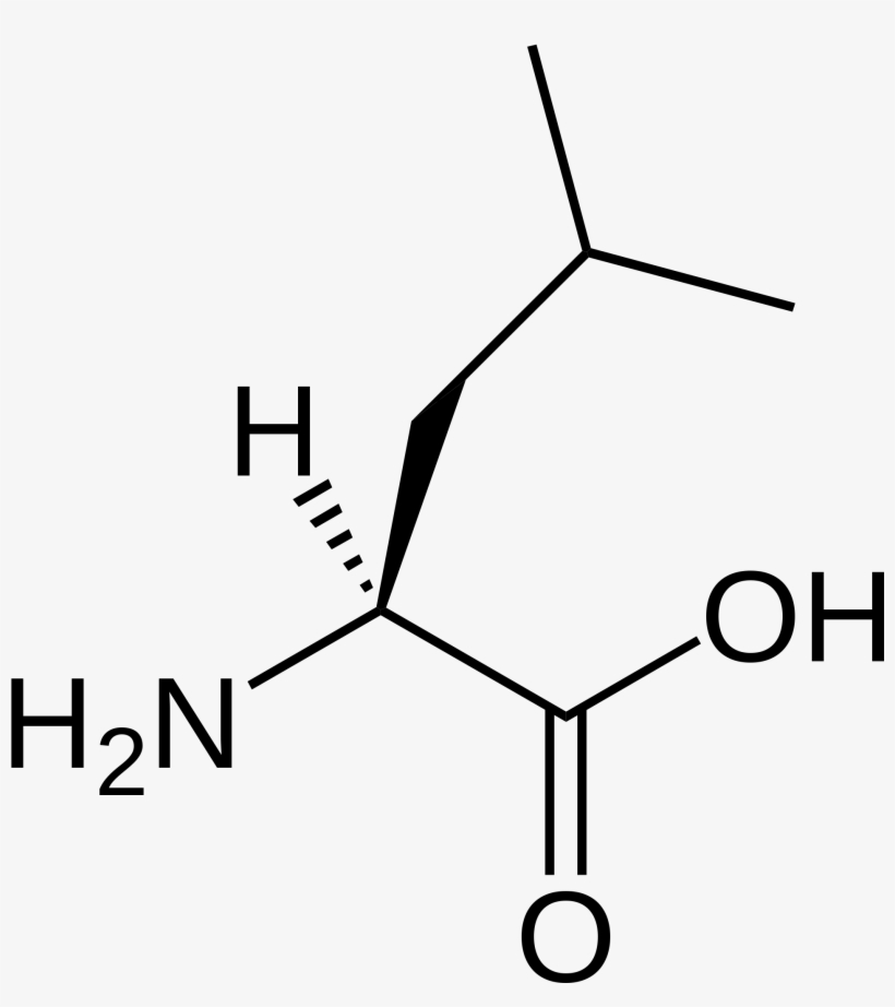A Chemical Structure Diagram Of Leucine - Oxalato De Escitalopram Formula, transparent png download