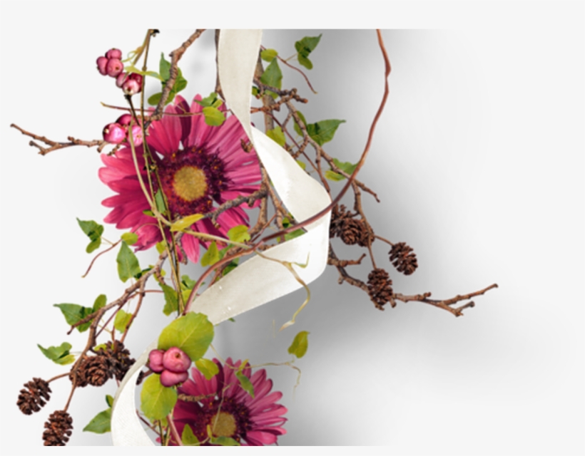 Png Flower Clip Arts Pinterest Flowers, Flower - Oracion Por Sanidad Enfermos, transparent png download