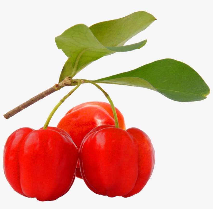 Acerola Cherry Png - Fruta Acerola Png, transparent png download