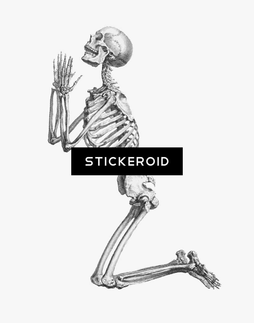 Halloween Skeleton - William Cheselden Praying Skeleton, transparent png download