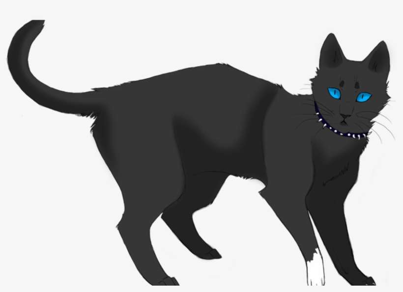 Scourge Warrior Cat Wiki Fandom Powered By Wikia - Warrior Cats Scourge, transparent png download