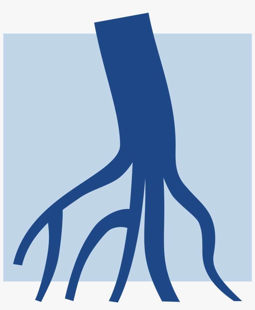 Open - River Delta Png, transparent png download