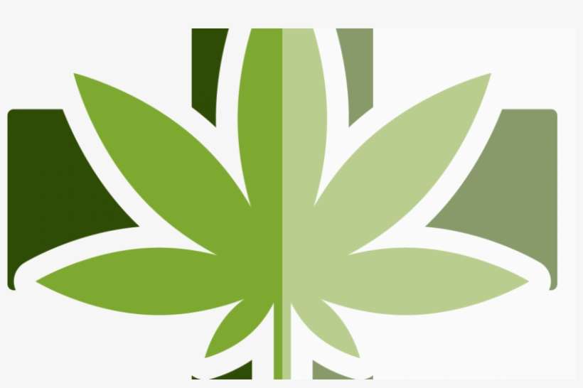 Court Case Regarding Not Hiring Person Who Uses Medical - Medical Marijuana Icon, transparent png download