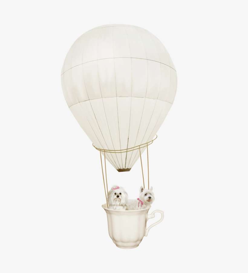 [ Img] - Portable Network Graphics, transparent png download