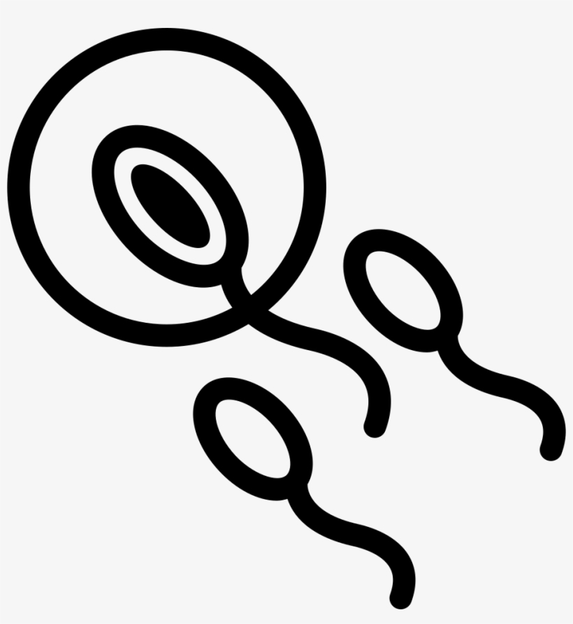 Png File - Esperma Y Ovulo Png, transparent png download