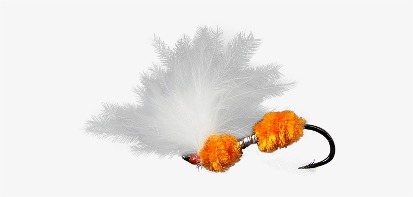 Still Life Photography, transparent png download